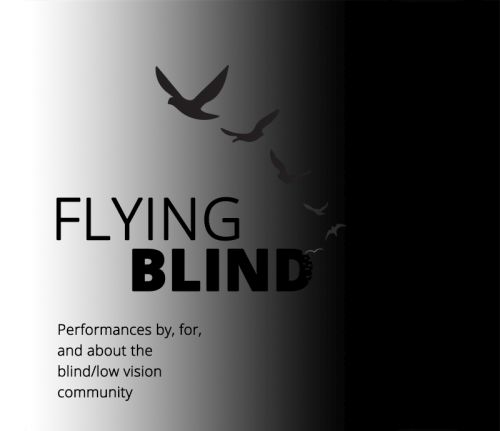 Promotional image for the play Flying Blind!